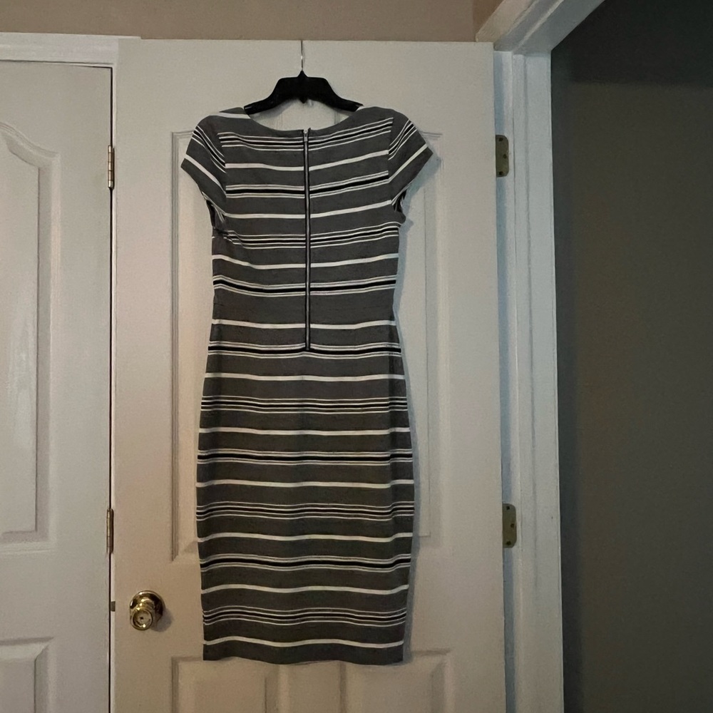 Express Dress - Picture 3 of 3